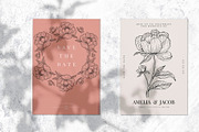 Black Outline Peony Flowers Set, an Illustration by ArtIrisArt (Thumbnail 6 of 13)