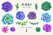 Watercolor Succulent Collection, an Object Illustration by Olga Alexeenko (Thumbnail 2 of 7)