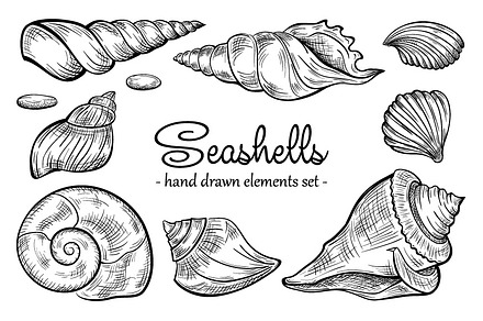 Seashells design elements set lite