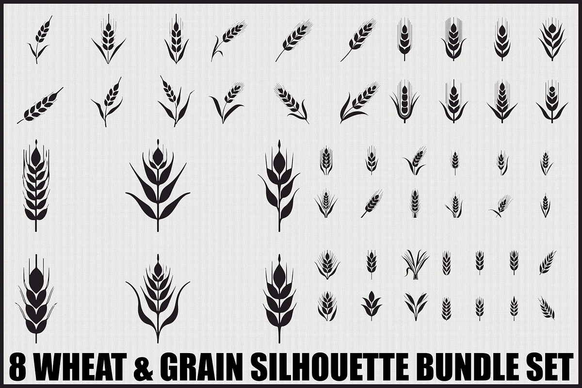 Wild Grass & Grain Vector Set, an Illustration by BIPLOB EXPERT (Photo 1 of 9)