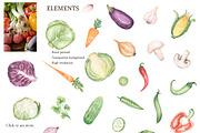 Watercolor Vegetables Collection, a Food Illustration by MayaNavits (Thumbnail 3 of 12)