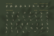 Miglem Elegant Ligature Serif Font, a Serif Font by Perfectype (Thumbnail 8 of 8)