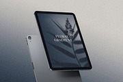 MONOCHROME Gradient & Floral Overlay, a Texture Graphic by Oksana Trygub (Thumbnail 2 of 15)
