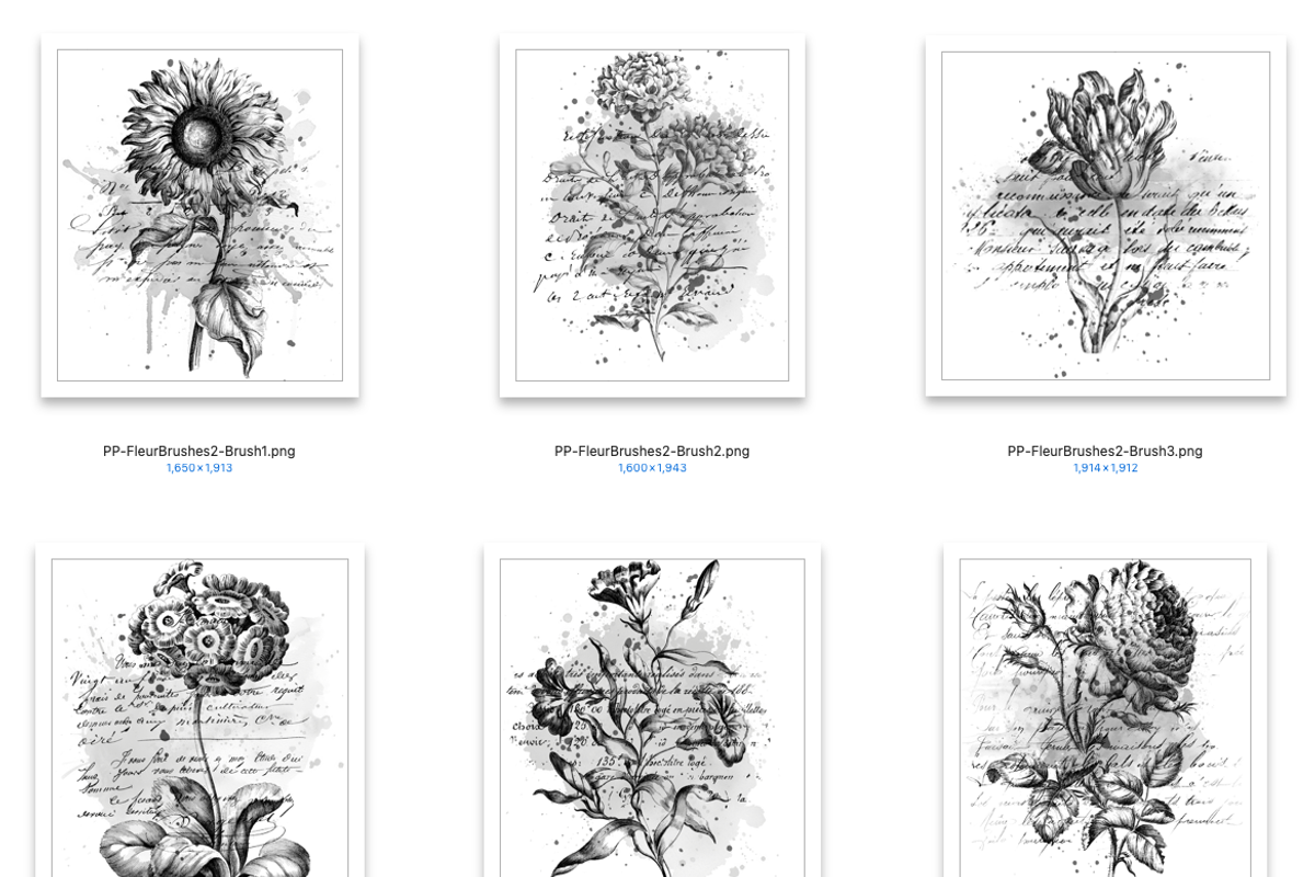 Fleur 2 Brushes for PS/PRO, a Brush Add-On by Polka Dot Pixels (Photo 2 of 2)