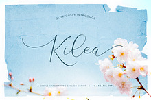 Kilea - Elegant Script Font