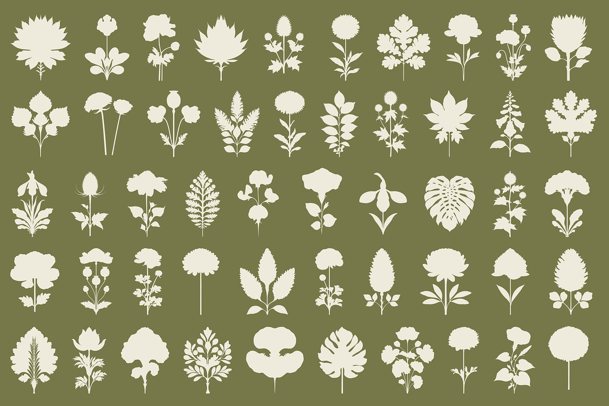 Vintage Botanical: 100 Illustrations, an Object Illustration by Veyla (Photo 6 of 15)