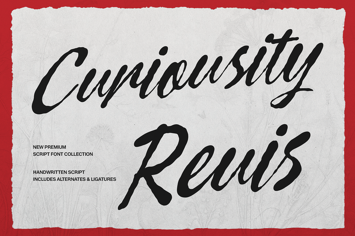 Curiousity Reuis Handwritten Script, a Script Font by gracetype_studio (Photo 1 of 11)