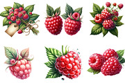 Watercolor Raspberry Clipart, an Illustration by DreamArtGraphic (Thumbnail 3 of 4)