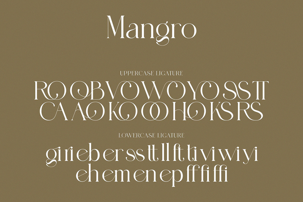 Mangro Elegant Serif Typeface, a Serif Font by Alfinart (Photo 7 of 7)