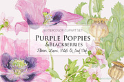 Purple Poppies&Blackberries-Clipart, an Illustration by watercolorwild.graphics (Thumbnail 9 of 10)