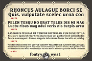 FHA Sign DeVinne, a Serif Font by Fontry West (Thumbnail 8 of 9)