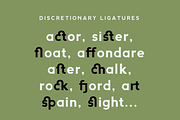 Abside Font (Modern & Geometric), a Sans Serif Font by Hederae Type Foundry (Thumbnail 4 of 8)