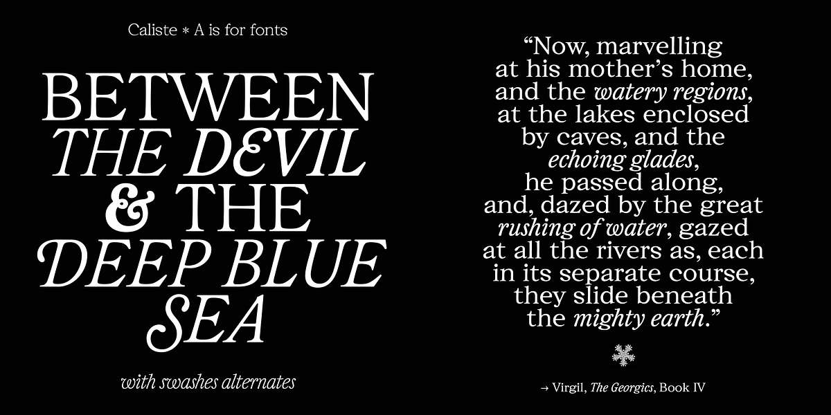 Caliste Display, a Serif Font by A is for... (Photo 3 of 10)