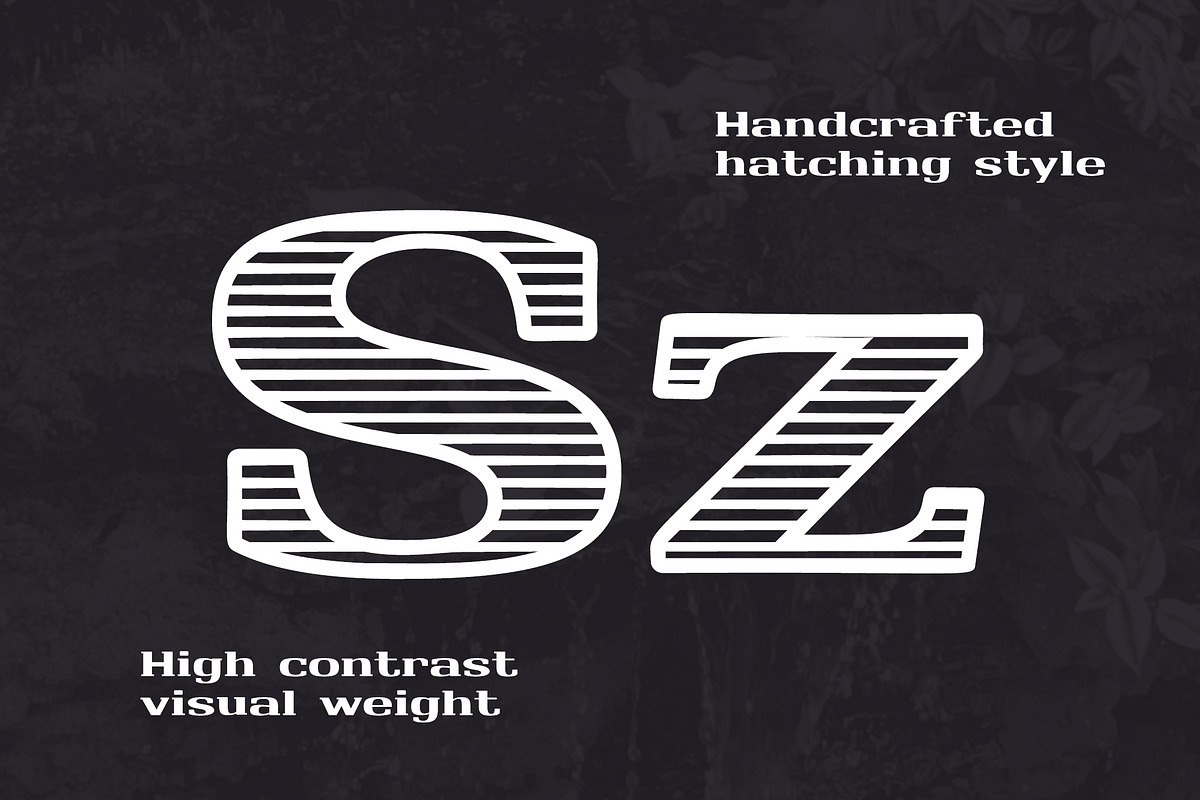 Monarch North Line Serif Font preview 2