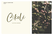 SALE! Display Signature Font - SVG, a Script Font by Emtheen Std. (Thumbnail 5 of 11)