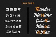 Hasdina Script, a Script Font by Beautypes (Thumbnail 6 of 7)
