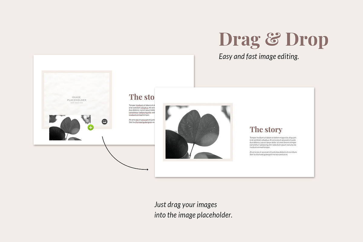 AMELIE Keynote Brand Guidelines, a Presentation Template by AgataCreate (Photo 12 of 13)