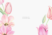 Pink Tulip Watercolor Clip Art, an Illustration by Daryartsy (Thumbnail 5 of 6)