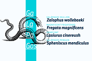 Darwin Pro - Family 30% off, a Sans Serif Font by Los Andes Type (Thumbnail 4 of 12)