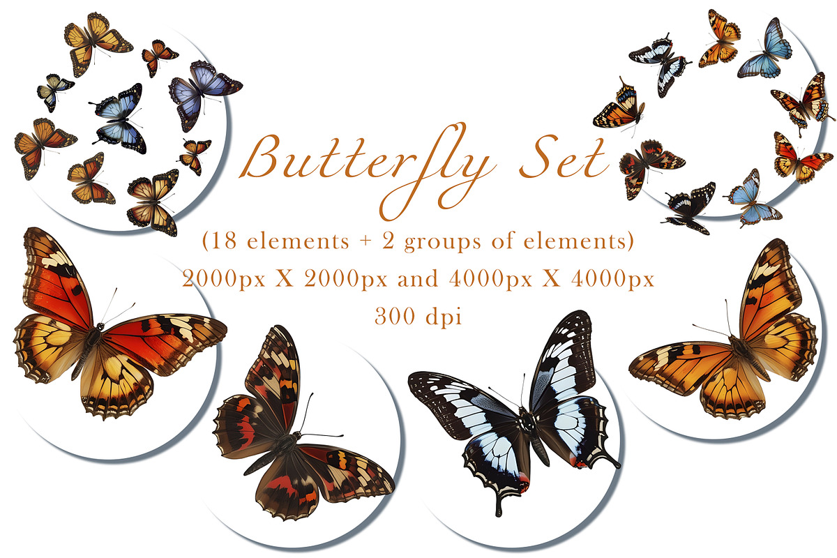 Clipart colorful butterfly, an Animal Illustration by ArtOfSoul (Photo 1 of 6)