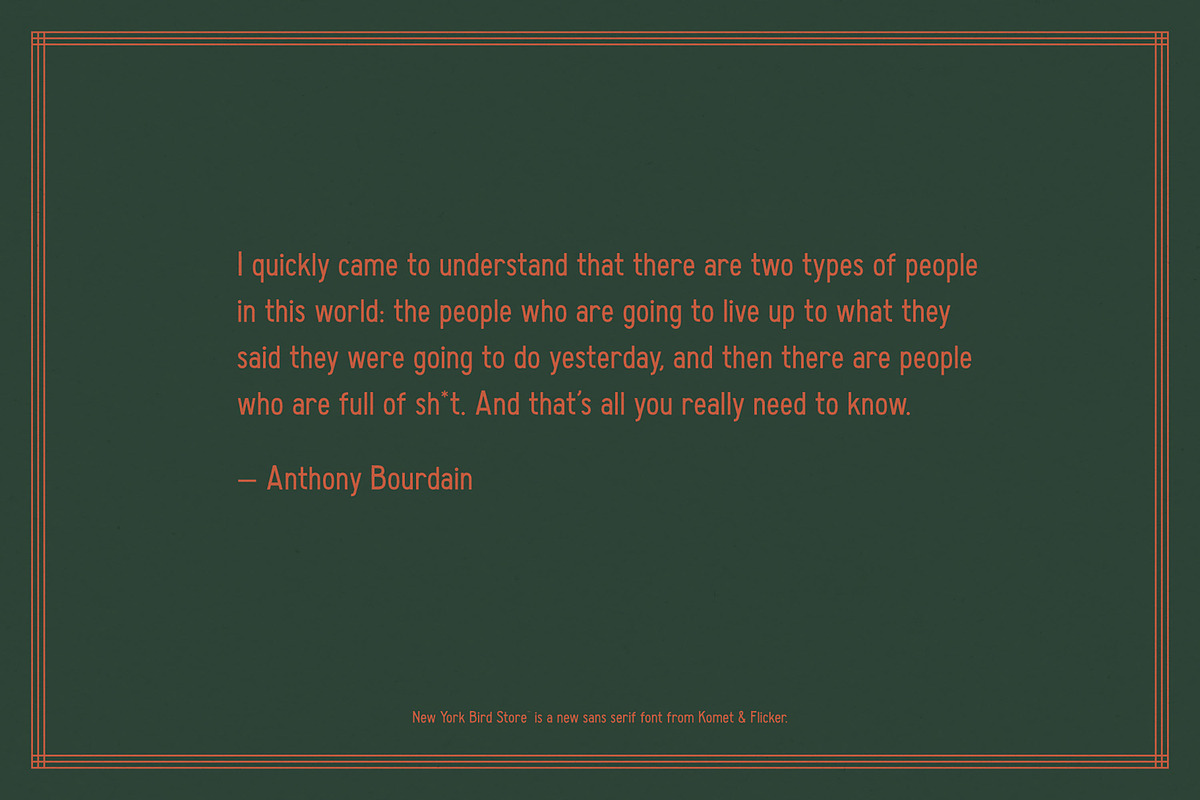 New York Bird Store, a Sans Serif Font by Komet & Flicker (Photo 7 of 13)