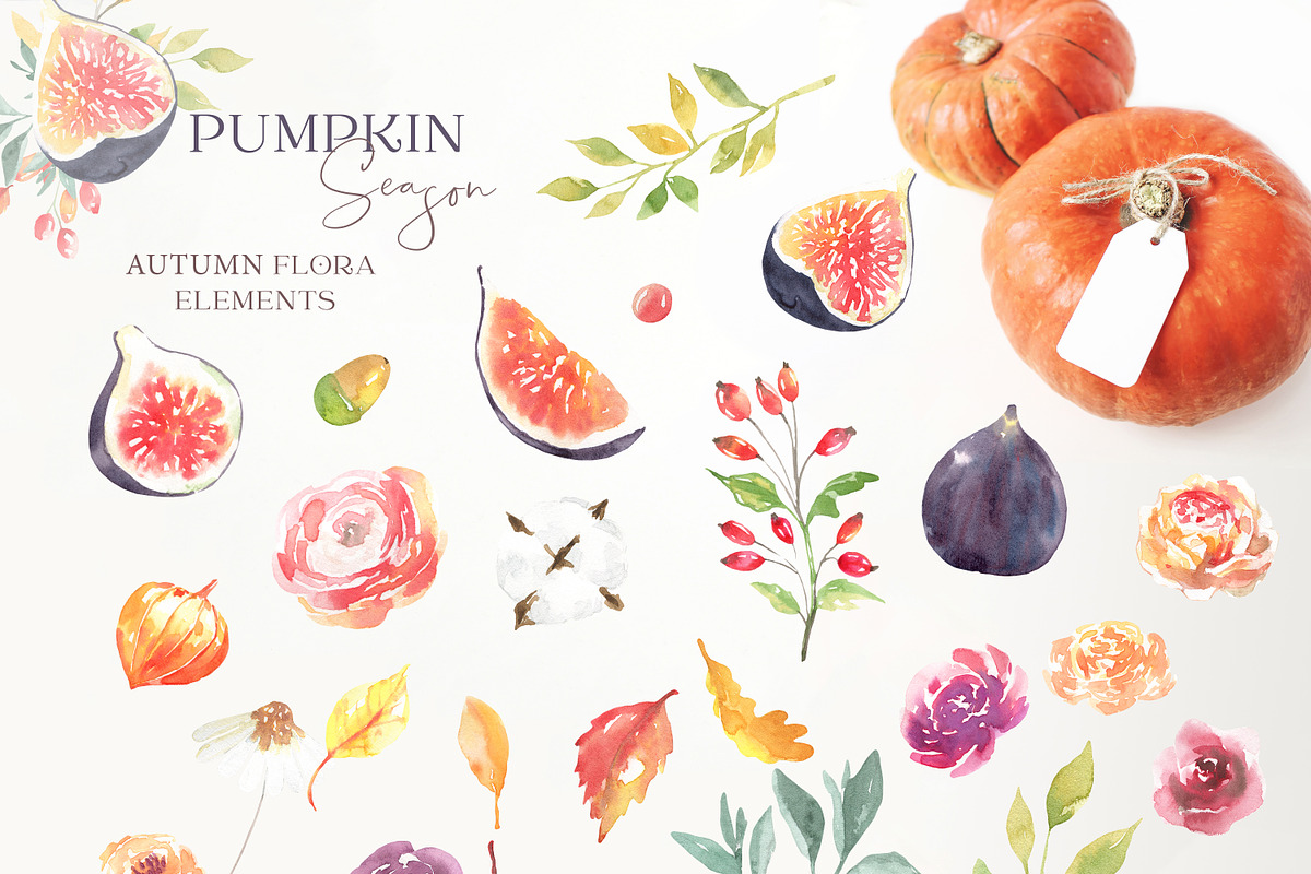 Watercolor Pumpkin Autumn Clipart, a Decorative Illustration by Catherine Wheel (Photo 12 of 12)