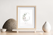 Bronte | Botanical set | 280+ images, an Illustration by Karma (Thumbnail 8 of 39)