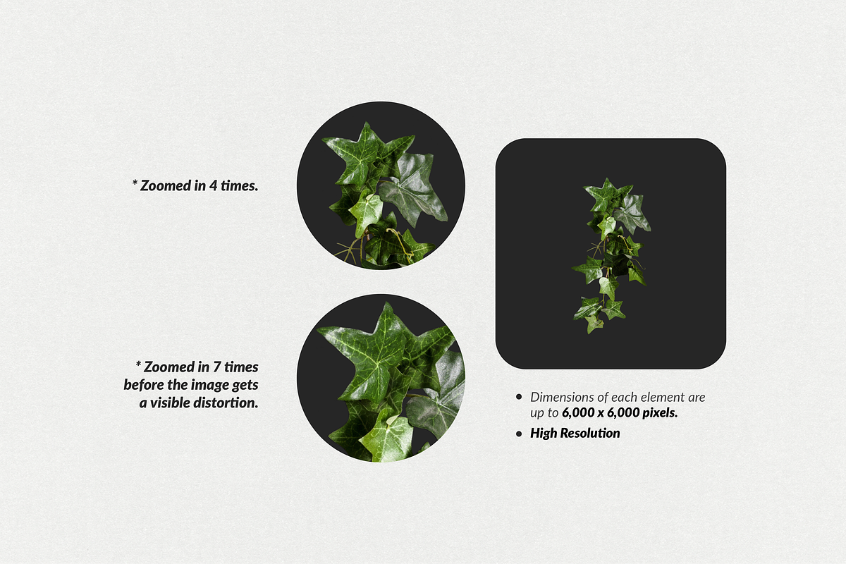 250+ Elements - Collage Creator Pack, an Object Graphic by Digi Life (Photo 7 of 32)