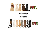 Christmas Couple with Dogs Clipart, a Person Illustration by ColorfulPT (Thumbnail 11 of 11)