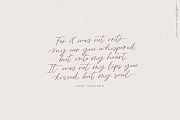Script font Wild Love logos, a Script Font by Angele Kamp (Thumbnail 3 of 15)