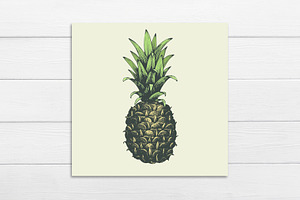 Pineapple Vector Collection