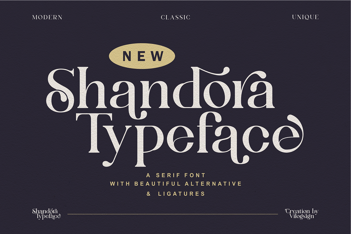 Shandora a Modern Serif Font, a Serif Font by Vilogsign (Photo 15 of 15)
