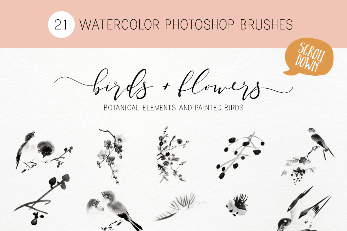 Japanese Birds photoshop brushes, a Brush Add-On by Studio-Charlie (Photo 2 of 4)