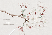 Canvas Creator Procreate Paper, a Brushes & More by Delightful Design (Thumbnail 2 of 5)