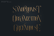 SALE! Enchants - Magical font, a Serif Font by VP Fonts (Thumbnail 8 of 14)