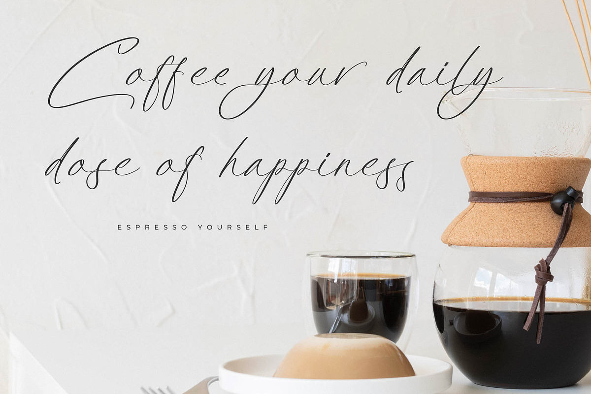 Platimye Stylish Signature Font, a Script Font by Letterena Studios Script (Photo 4 of 15)