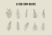 Fern And Eucalyptus Procreate Stamps, a Brush Add-On by Little Nordic Atelier (Thumbnail 2 of 4)