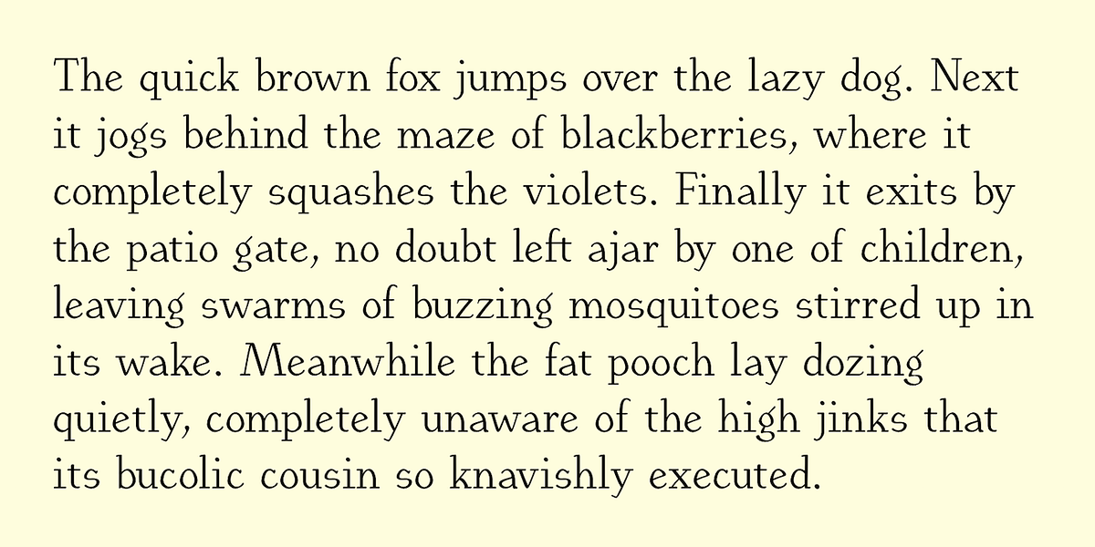 EuroikaKamp, a Serif Font by Ingrimayne Type (Photo 4 of 11)