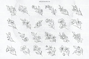 Procreate Delicate Blossom Stamps, a Brush Add-On by DiBrush Studio (Thumbnail 3 of 6)