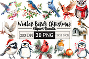 Winter Birds Christmas Clipart, an Illustration by Black Bird Studio (Thumbnail 1 of 6)