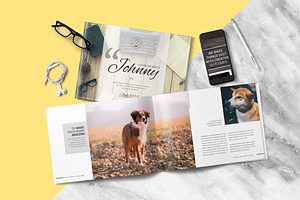 Multipurpose Brochure - Johnny