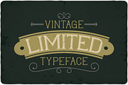 Limited typeface, a Symbol Font by VozzyStock (Thumbnail 3 of 7)