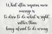 Calligraphy, a Handwritten Font by FreshTypeINK (Thumbnail 8 of 8)