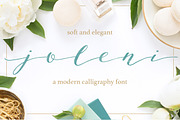 Joleni Modern Calligraphy font, a Script Font by By Lef (Thumbnail 1 of 11)