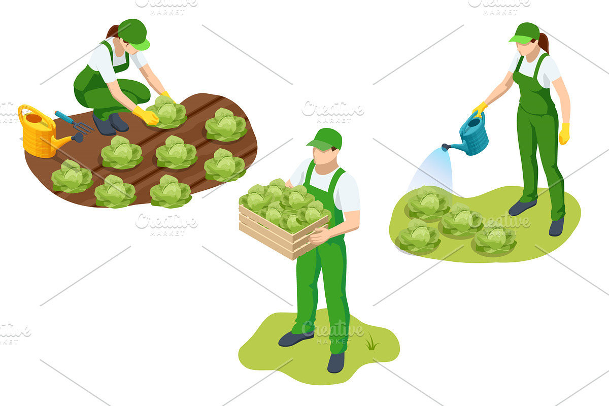 Agricultural cultivation. A man and, an Object Illustration by Golden Sikorka