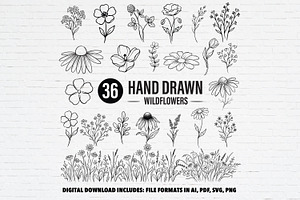 Hand Drawn Wildflower Vector Bundle, a Decorative Illustration by Guavanaboy