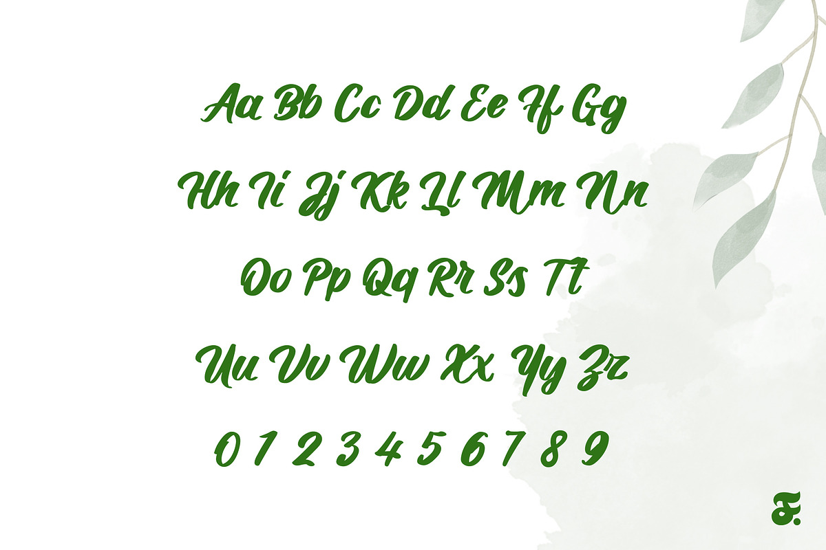 Daintti Swirl Script, a Script Font by Anomali Creatype (Photo 3 of 10)