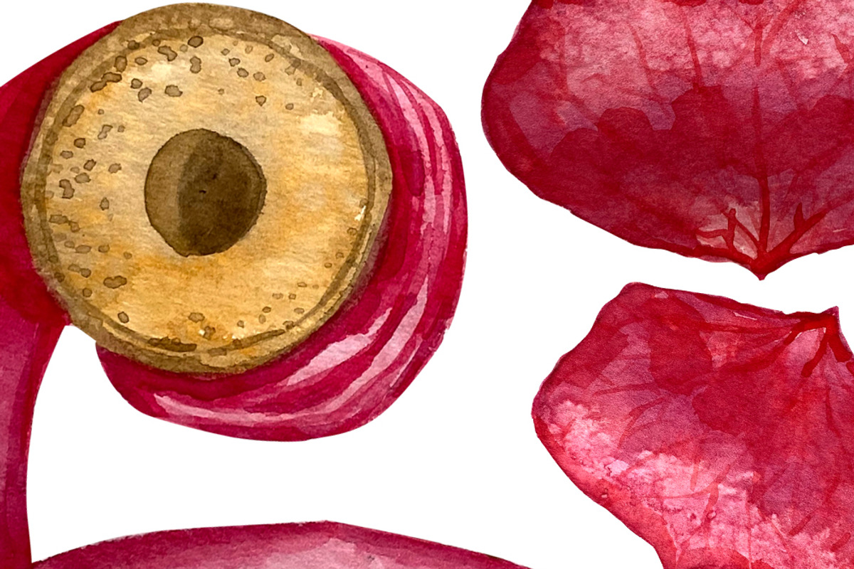 Watercolor heart romantic clipart, a Seasonal Illustration by Fresh art by Larysa (Photo 5 of 7)