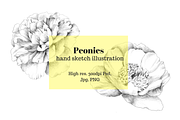 Peony hand sketch, an Object Graphic by VictoriaKStudio (Thumbnail 1 of 3)