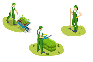 Agricultural cultivation. Three, an Object Illustration by Golden Sikorka